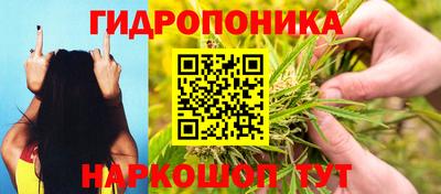 бошки Славянск-на-Кубани