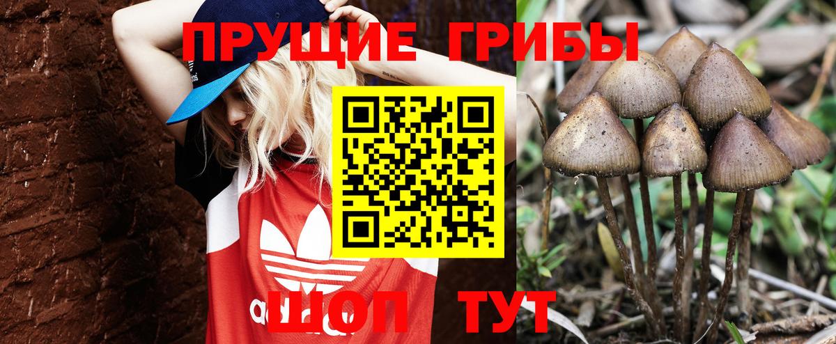 Оренбург  Галлюциногенные грибы мицелий  Вход с VPN 